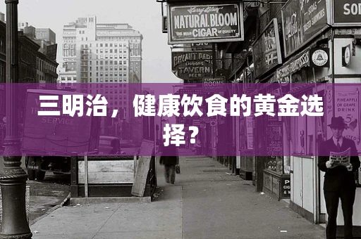 三明治，健康饮食的黄金选择？