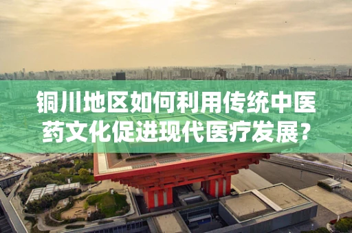 铜川地区如何利用传统中医药文化促进现代医疗发展？