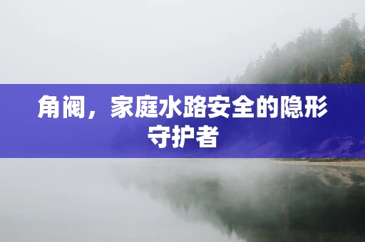 角阀，家庭水路安全的隐形守护者