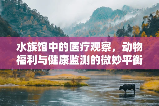 水族馆中的医疗观察，动物福利与健康监测的微妙平衡