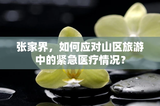 张家界，如何应对山区旅游中的紧急医疗情况？