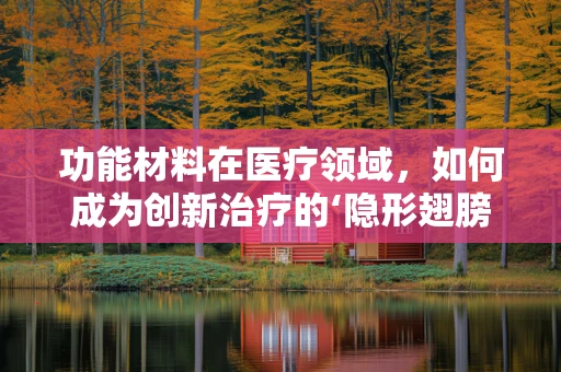 功能材料在医疗领域，如何成为创新治疗的‘隐形翅膀’？