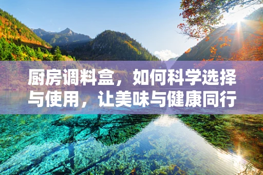 厨房调料盒，如何科学选择与使用，让美味与健康同行？