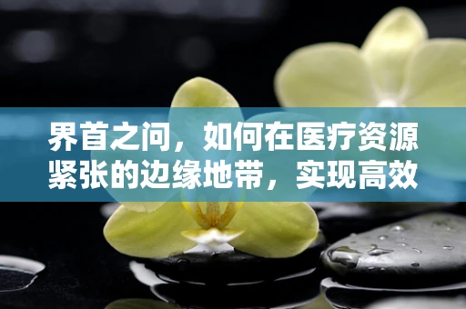 界首之问，如何在医疗资源紧张的边缘地带，实现高效医疗服务？