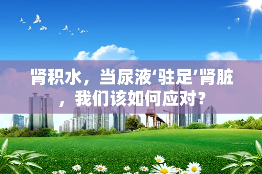 肾积水，当尿液‘驻足’肾脏，我们该如何应对？