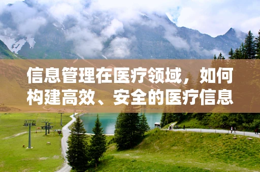 信息管理在医疗领域，如何构建高效、安全的医疗信息系统？