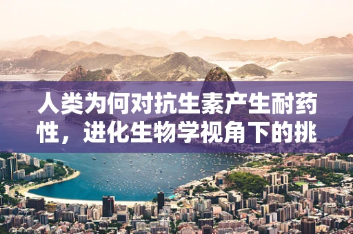 人类为何对抗生素产生耐药性，进化生物学视角下的挑战