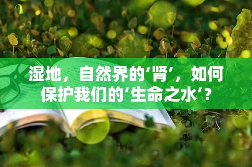 湿地，自然界的‘肾’，如何保护我们的‘生命之水’？
