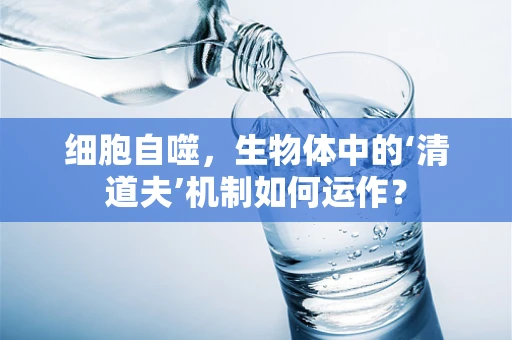 细胞自噬，生物体中的‘清道夫’机制如何运作？