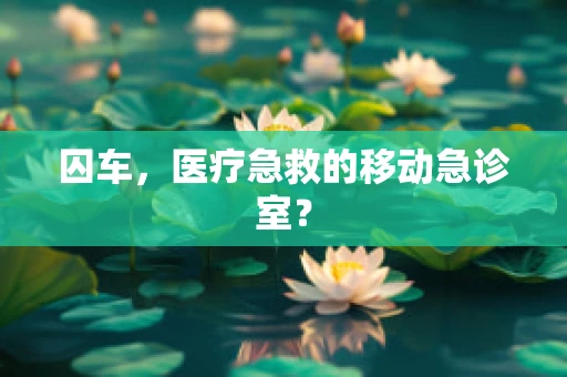 囚车，医疗急救的移动急诊室？
