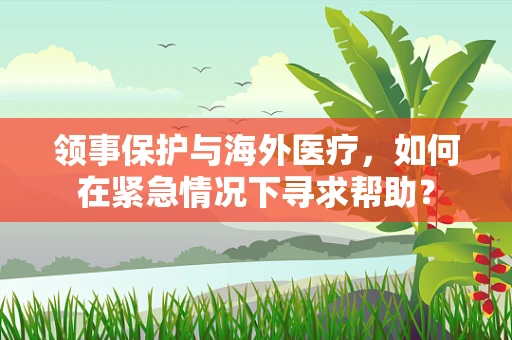 领事保护与海外医疗，如何在紧急情况下寻求帮助？