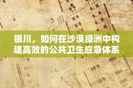 银川，如何在沙漠绿洲中构建高效的公共卫生应急体系？