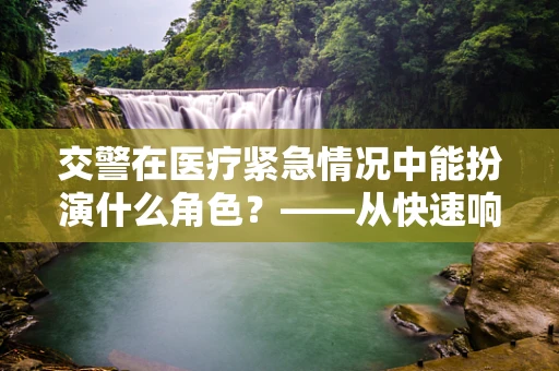 交警在医疗紧急情况中能扮演什么角色？——从快速响应到公众教育的桥梁