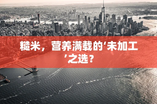 糙米，营养满载的‘未加工’之选？