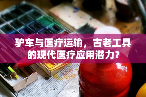 驴车与医疗运输，古老工具的现代医疗应用潜力？