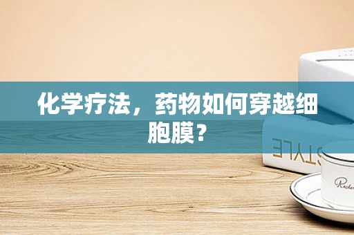 化学疗法，药物如何穿越细胞膜？