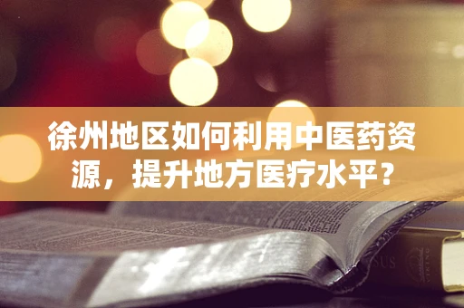 徐州地区如何利用中医药资源，提升地方医疗水平？