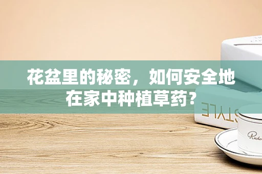 花盆里的秘密，如何安全地在家中种植草药？