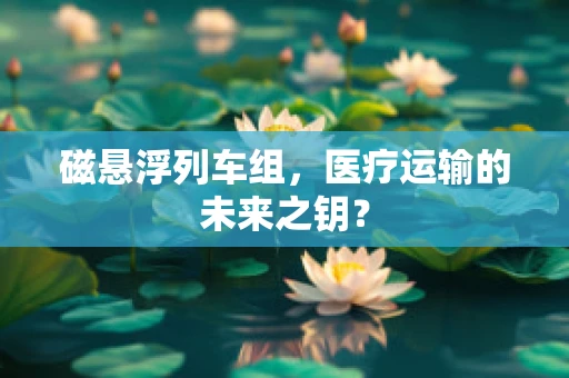 磁悬浮列车组，医疗运输的未来之钥？
