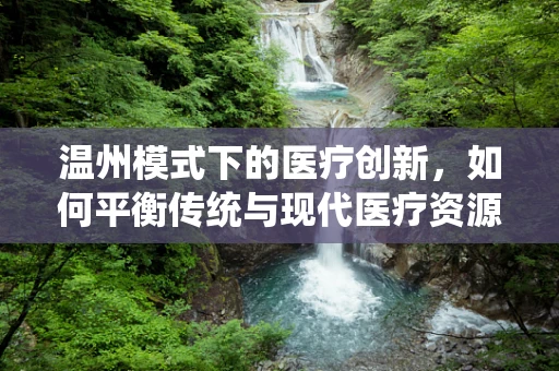 温州模式下的医疗创新，如何平衡传统与现代医疗资源？