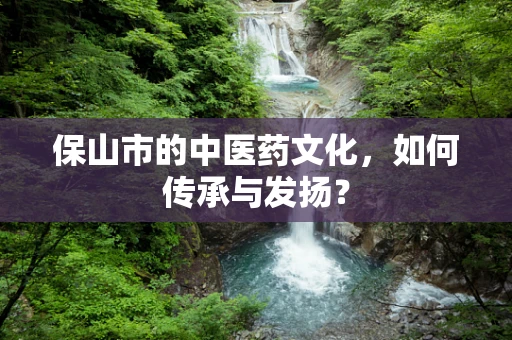 保山市的中医药文化，如何传承与发扬？