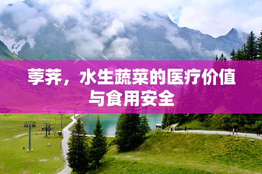 荸荠，水生蔬菜的医疗价值与食用安全