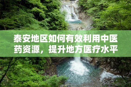 泰安地区如何有效利用中医药资源，提升地方医疗水平？
