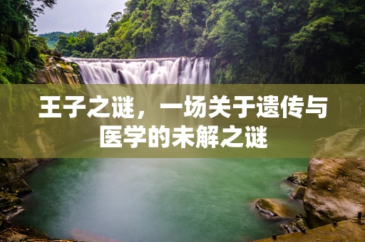 王子之谜，一场关于遗传与医学的未解之谜