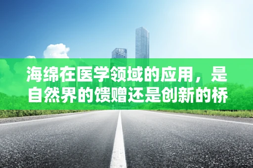 海绵在医学领域的应用，是自然界的馈赠还是创新的桥梁？