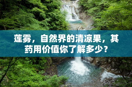 莲雾，自然界的清凉果，其药用价值你了解多少？