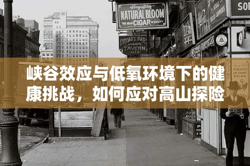 峡谷效应与低氧环境下的健康挑战，如何应对高山探险的隐忧？
