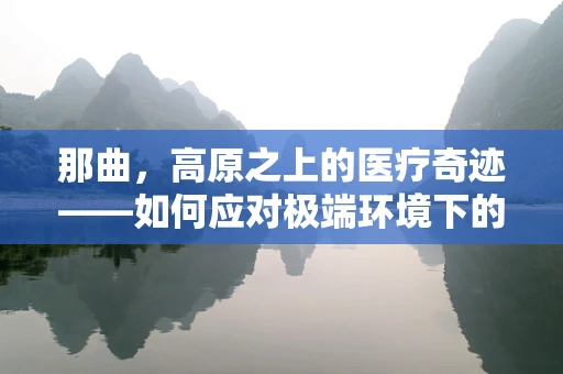那曲，高原之上的医疗奇迹——如何应对极端环境下的医疗挑战？