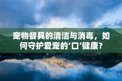 宠物餐具的清洁与消毒，如何守护爱宠的‘口’健康？
