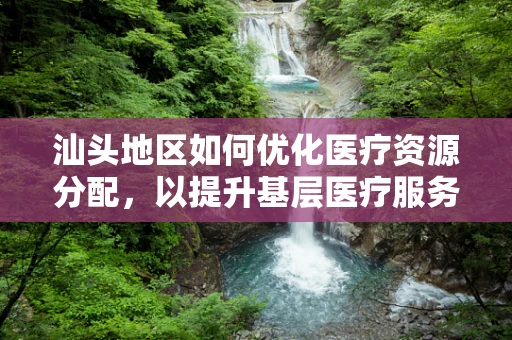 汕头地区如何优化医疗资源分配，以提升基层医疗服务质量？