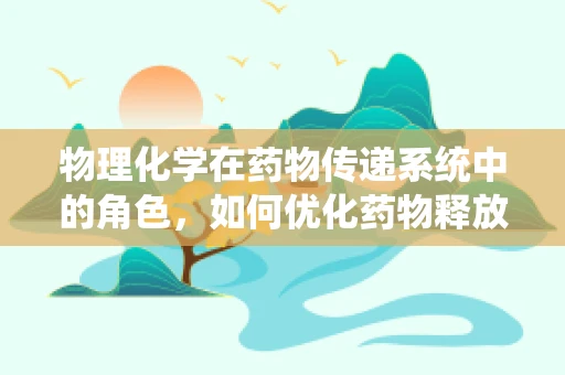 物理化学在药物传递系统中的角色，如何优化药物释放？