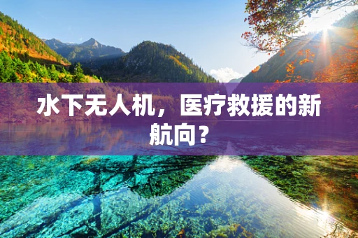 水下无人机，医疗救援的新航向？