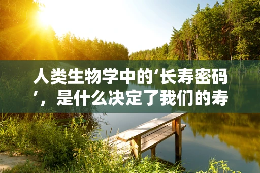 人类生物学中的‘长寿密码’，是什么决定了我们的寿命？