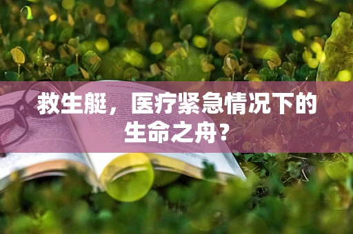 救生艇，医疗紧急情况下的生命之舟？