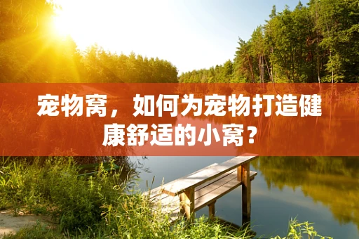 宠物窝，如何为宠物打造健康舒适的小窝？