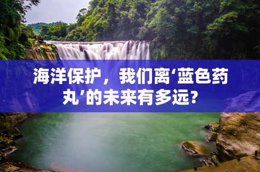 海洋保护，我们离‘蓝色药丸’的未来有多远？