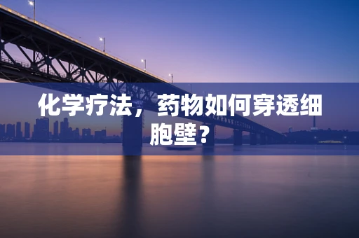 化学疗法，药物如何穿透细胞壁？