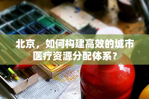 北京，如何构建高效的城市医疗资源分配体系？