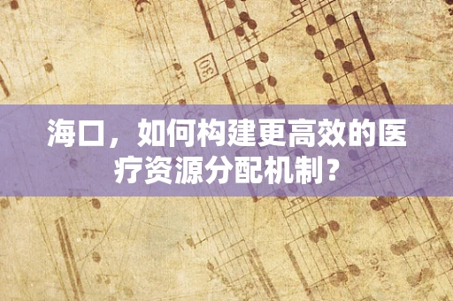 海口，如何构建更高效的医疗资源分配机制？