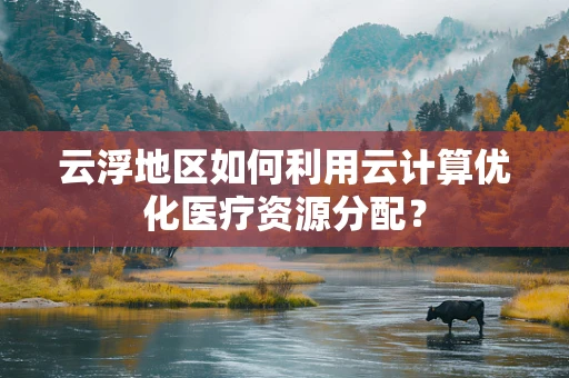 云浮地区如何利用云计算优化医疗资源分配？