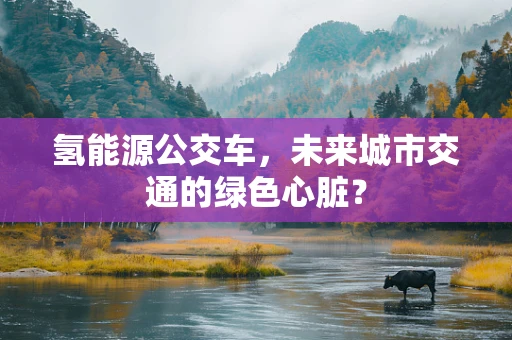 氢能源公交车，未来城市交通的绿色心脏？