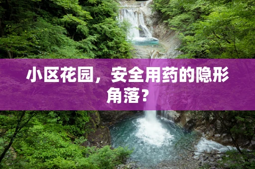 小区花园，安全用药的隐形角落？