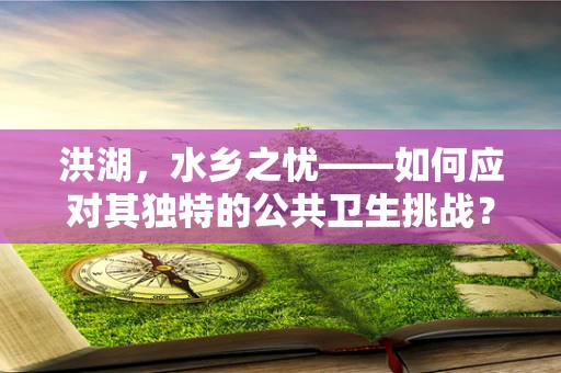 洪湖，水乡之忧——如何应对其独特的公共卫生挑战？