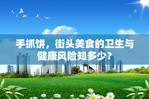 手抓饼，街头美食的卫生与健康风险知多少？