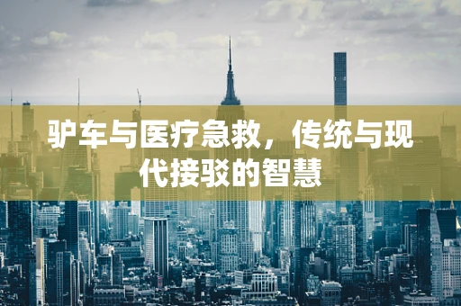 驴车与医疗急救，传统与现代接驳的智慧