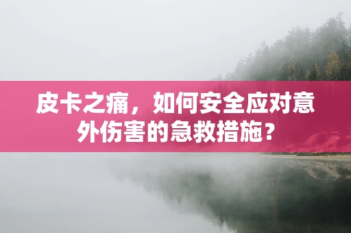 皮卡之痛，如何安全应对意外伤害的急救措施？